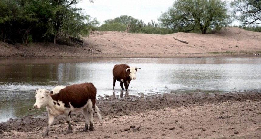 Entre Ríos enfrenta la peor sequía de los últimos 60 años