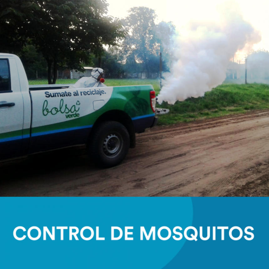 El equipo de Medio Ambiente està realizando aplicaciones para control de mosquitos