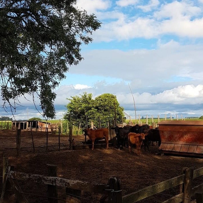 MERCADOS | Para el hombre de campo. Presenta Asociación rural de Gral Viamonte