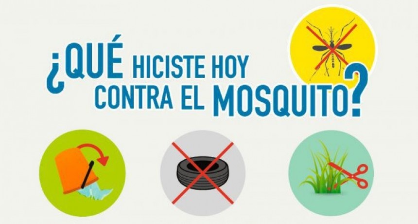 Medidas de prevención ante el dengue
