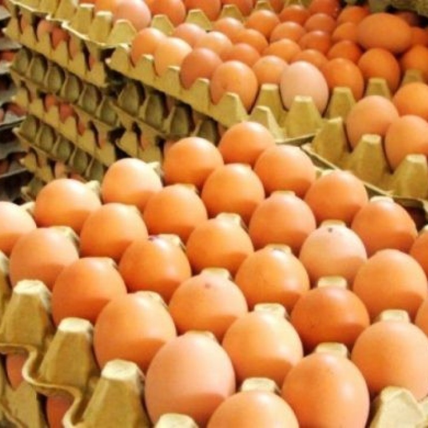 CECILIA SARCO | Producción de huevos: crisis en el sector pese a mayor demanda 