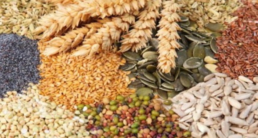 CURSO | Perito clasificador de   Cereales y Oleaginosas 