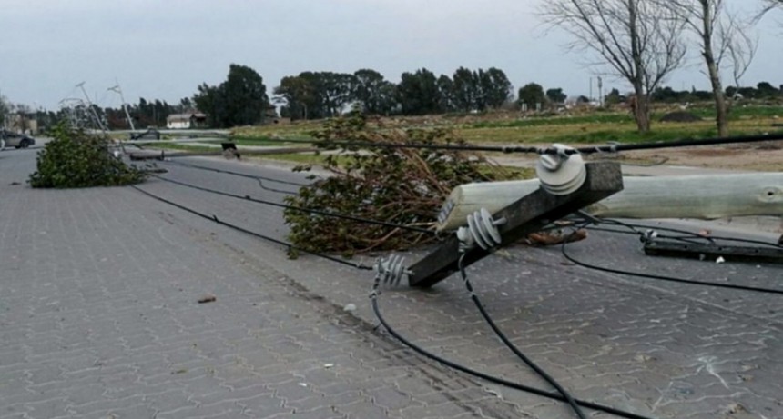 Un temporal de viento provocó la caída de árboles y postes de energía en Bahía Blanca