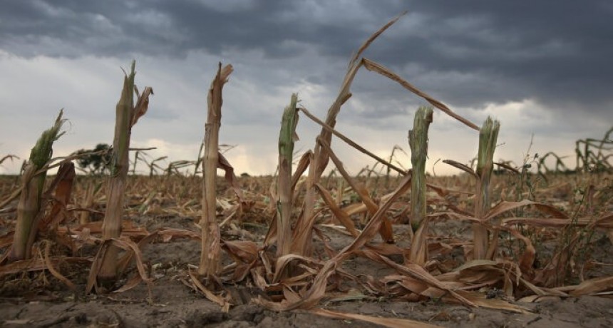 La sequía hizo caer las exportaciones bonaerenses un 20,5% durante 2023