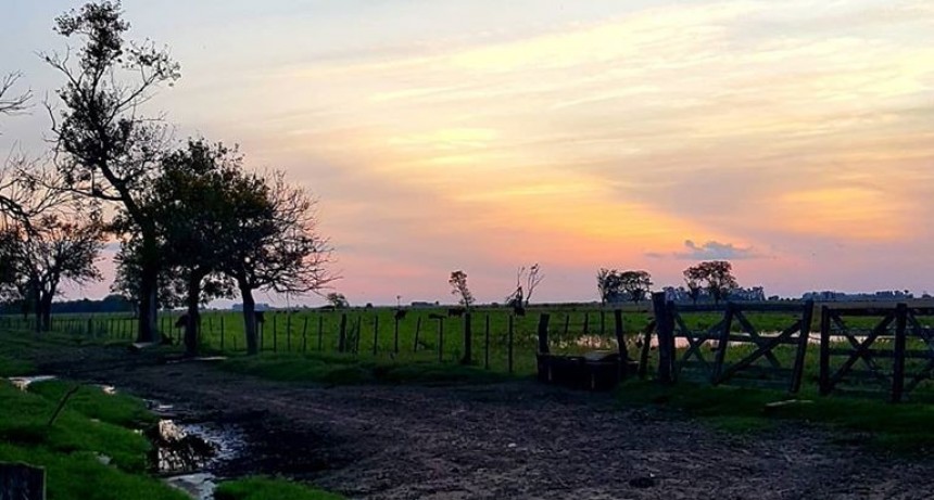 MERCADOS: Para el hombre de campo: Presenta Asociación rural de Gral Viamonte