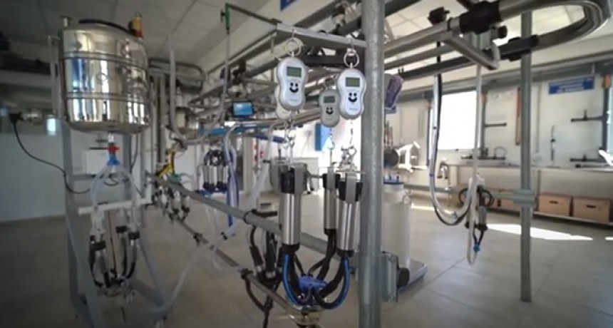 Lanzan una Diplomatura en instalación de equipos para producción de leche
