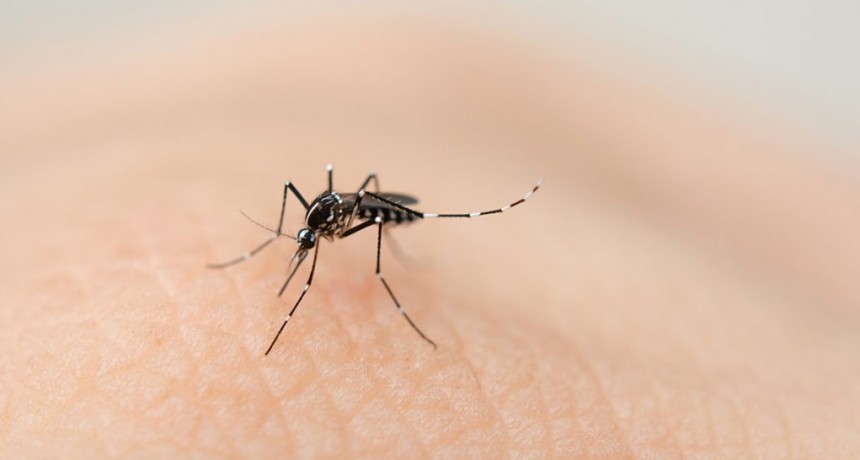 Confirmaron una muerte por dengue y 5.000 casos