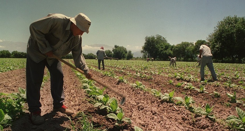 Trabajadores rurales: aumentan la prestación por desempleo hasta un tope de $ 85.000