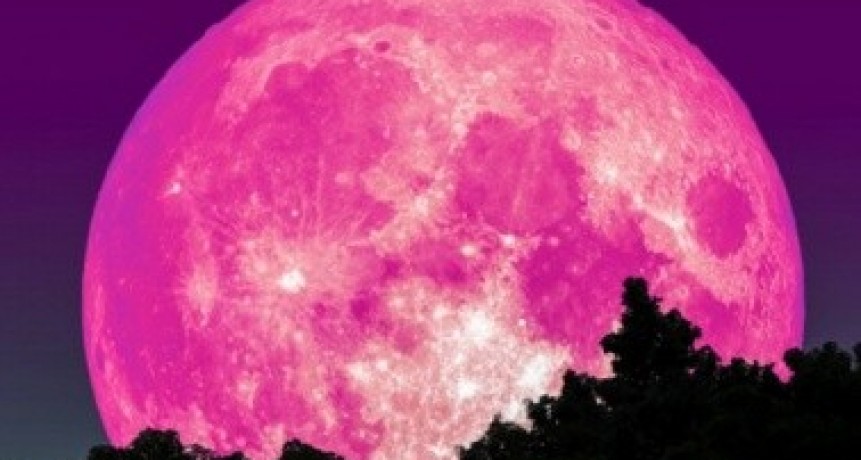 Mirá cuándo serán la superluna rosa de abril y otros fenómenos para observar en cuarentena