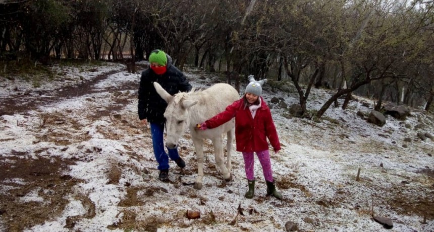 Frío y nieve: un manto blanco sorprendió en las sierras de Córdoba