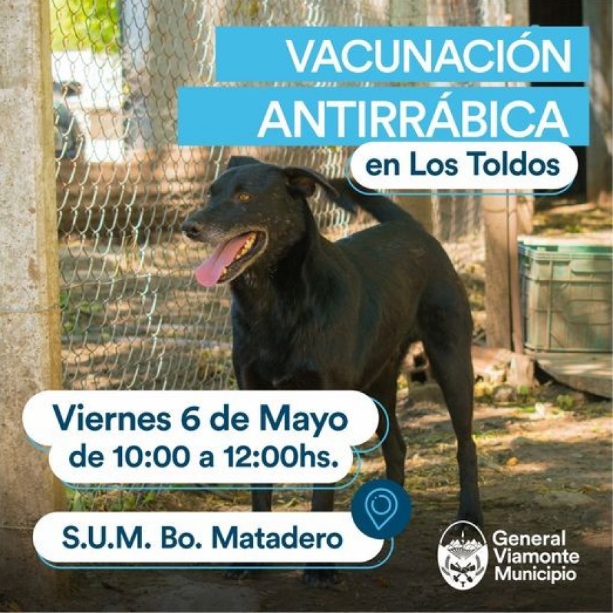  BARRIO MATADERO / Vacunaciòn antirrabica