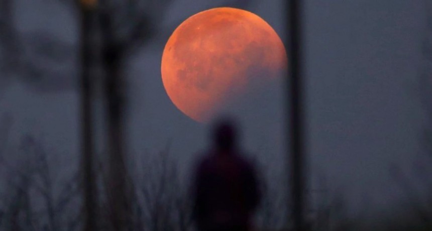 ASTRONOMÍA /   Cómo será el Eclipse Total de Luna 