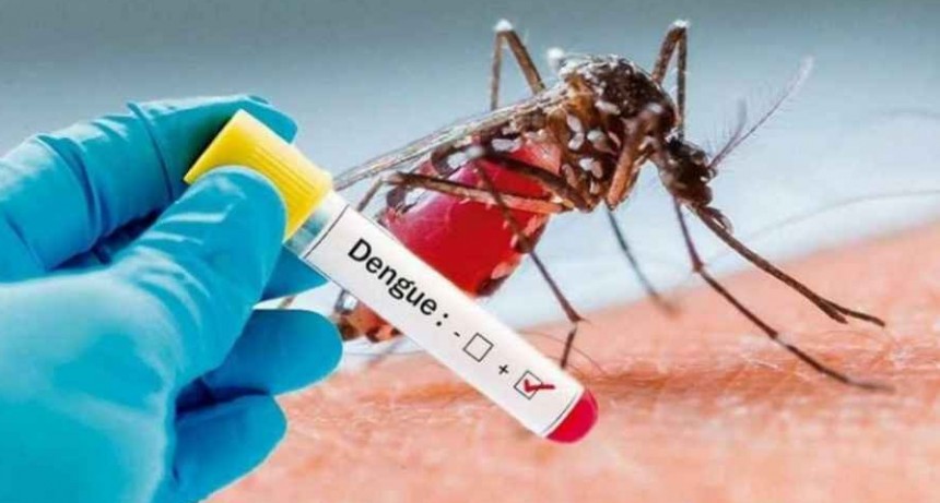 Esta región fue considerada “en brote” de dengue