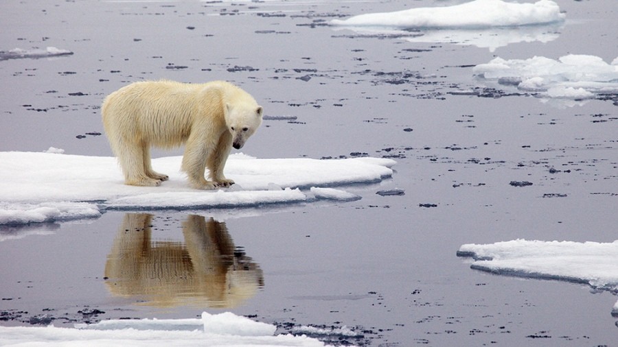 De mal en peor: los indicadores del cambio climático batieron récords en 2021