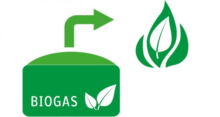 Premio a plataforma internacional de biogás y gasificación