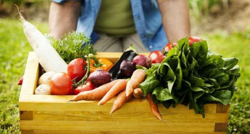 HABLEMOS de NUTRICION: LIC NADIA LINGOR | Hoy nos habla de alimentos orgánicos