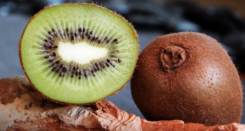 Entre Ríos: impulsan el cultivo de kiwi como fruta primicia