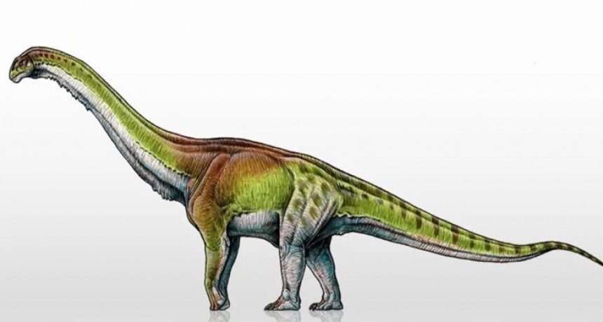 Hallaron nuevos indicios de dinosaurios en Río Negro