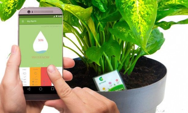 Una App para no olvidarse nunca más de regar las plantas