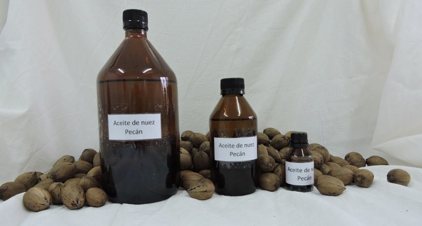 Evalúan la calidad del aceite de nuez pecán