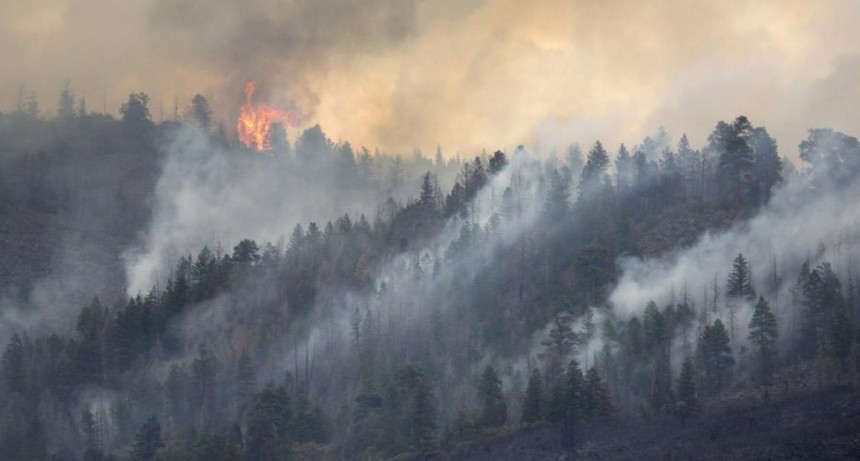 Con el paso del tiempo el humo de los incendios forestales es cuatro veces más tóxico