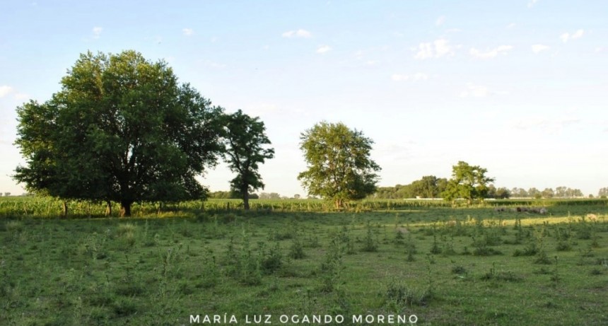 Info para el Hombre de campo. Reporta Luis Ciucci - Presenta Asociación Rural de Gral Viamonte