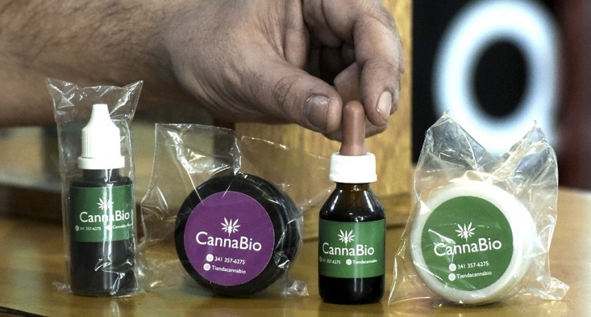 Entusiasmo en las provincias por las oportunidades que arroja el cannabis medicinal
