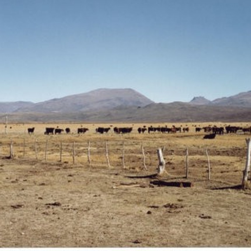 Recuperan mallines degradados en la Patagonia