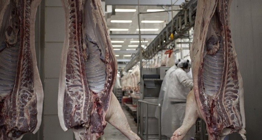 Federación de Productores Porcinos considera clave al Senasa para afianzar la producción