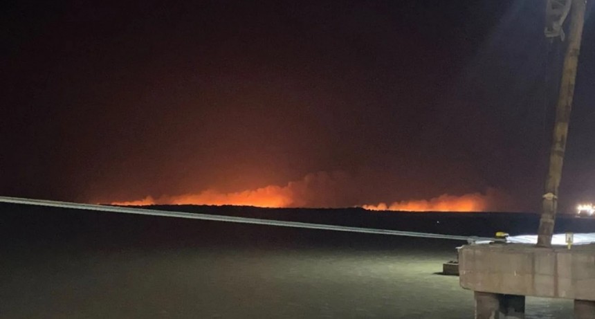 El humo y el olor a quemado de los incendios en el Delta del Paraná volvieron a afectar a Buenos Aires