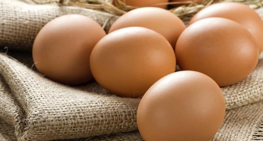 29 Nov| Ing Agron CECILIA SARCO: “Huevos de gallinas felices”