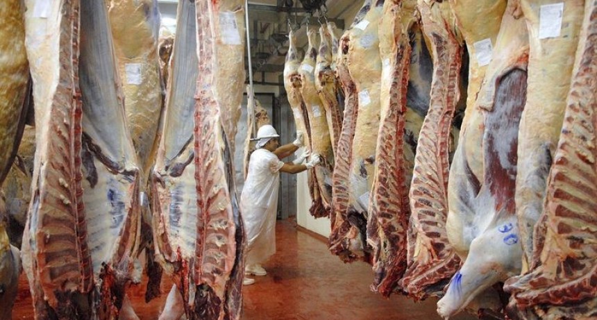 Precios hacia arriba | Frigoríficos advierten que continuará el aumento de la carne