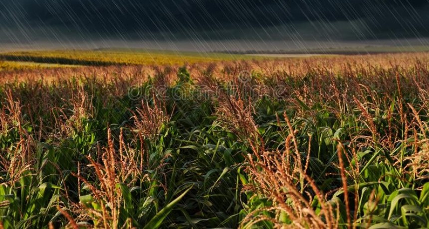 Lluvias: llega el alivio para las zonas agrícolas