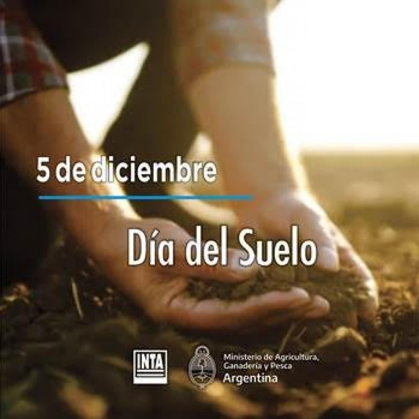 5 de diciembre - Día Internacional del suelo