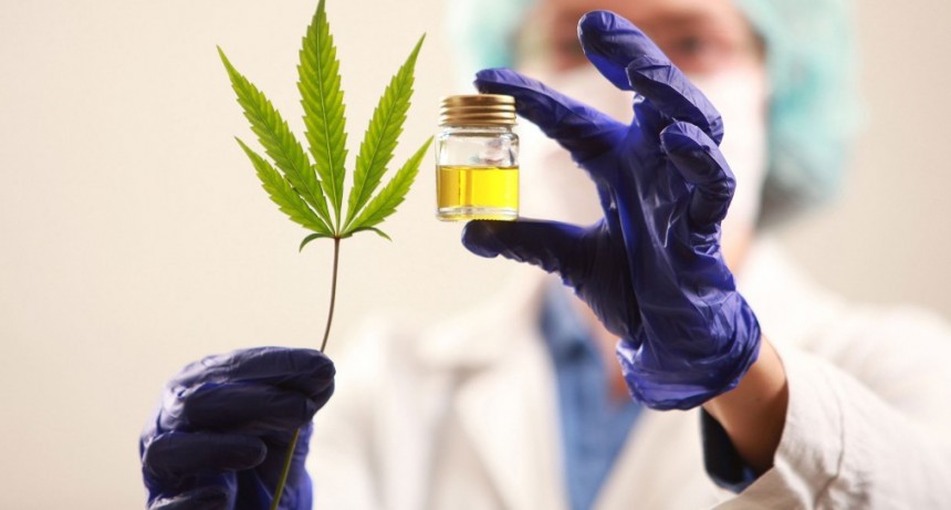 Cannabis medicinal: inauguran un Laboratorio de Control de Calidad