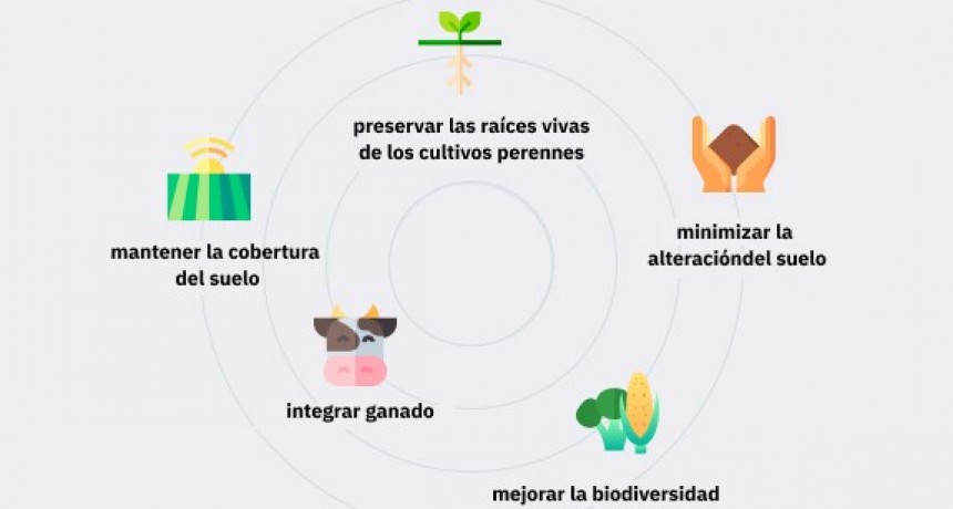 La agricultura regenerativa se extiende en la región Cuyo