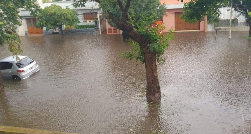 NUEVE DE JULIO: La torrencial lluvia anego calles de la ciudad, provoco accidentes y la piedra arraso cultivos en Naon