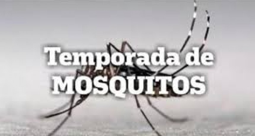 Recomendaciones para la prevención de enfermedades transmitidas por mosquitos