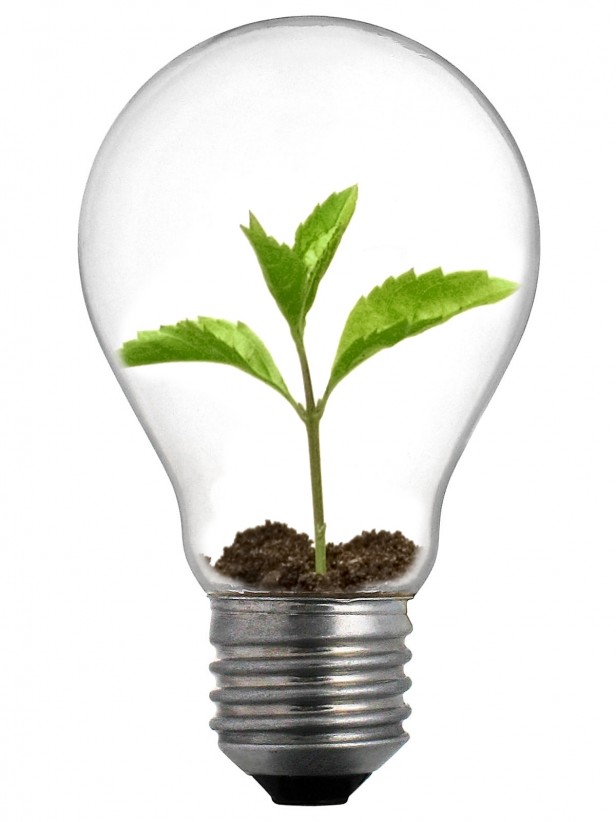 Día de la energía