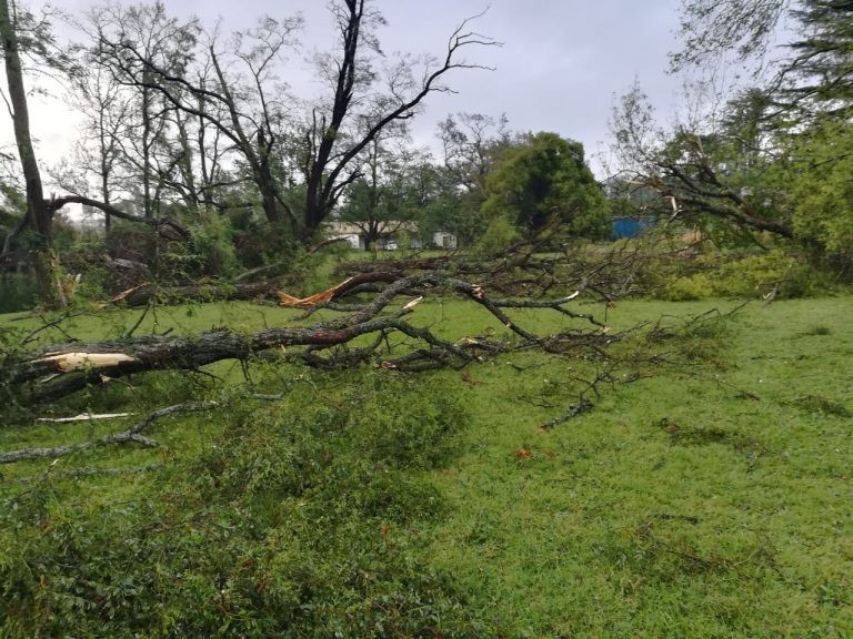 Increíble: un tornado derribó a cuatro camiones juntos en Azul