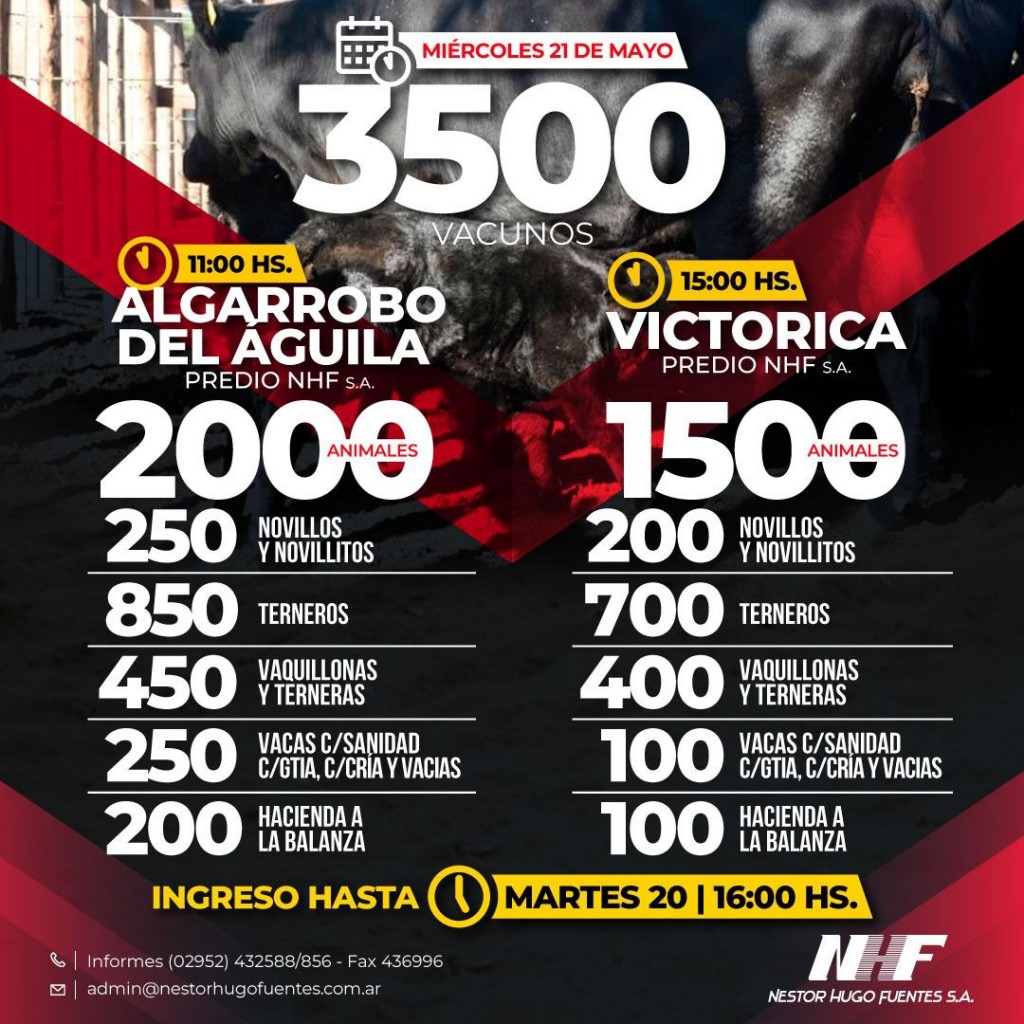 Información importante para el sector ganadero. Remates Feria