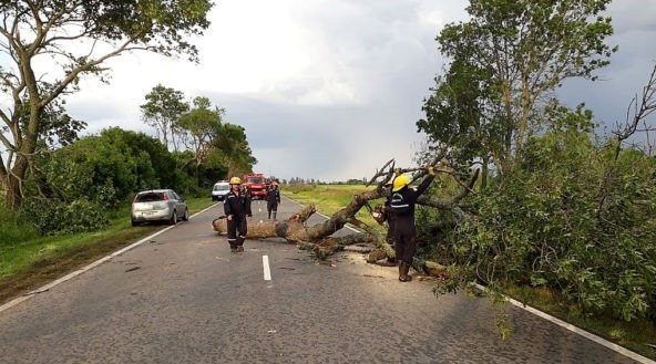 La tormenta hizo sentir su rigor en Chacabuco